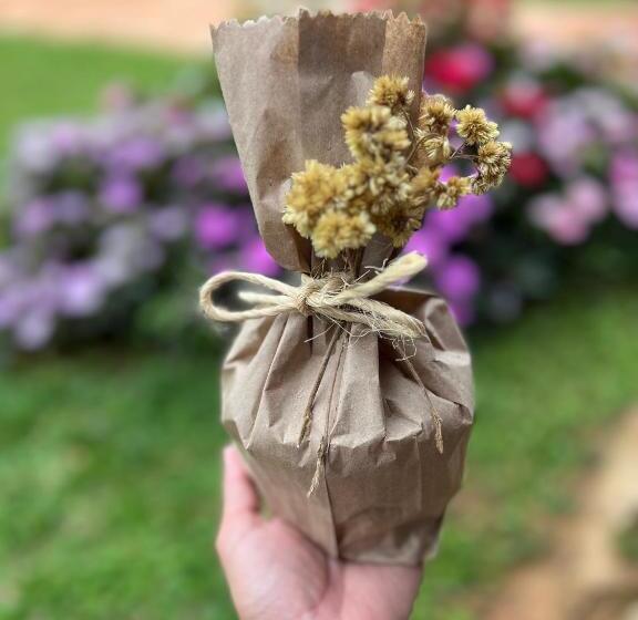 بنسيون Fazenda Do Engenho