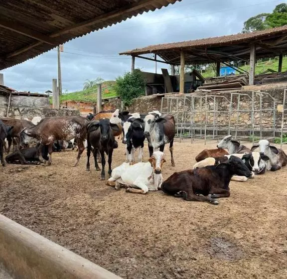 Majatalo Fazenda Do Engenho