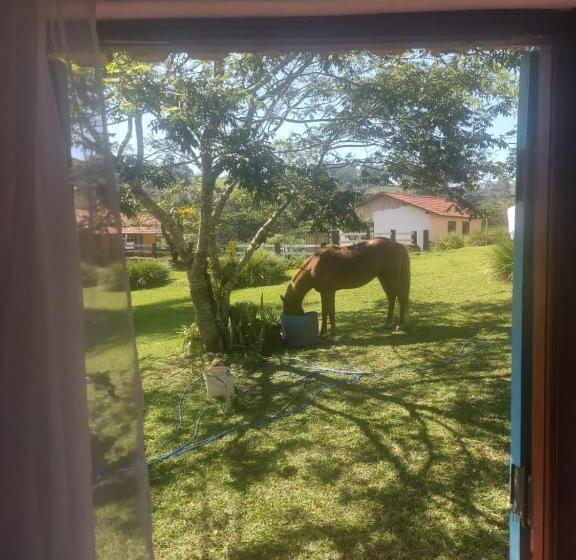 بنسيون Fazenda Do Engenho