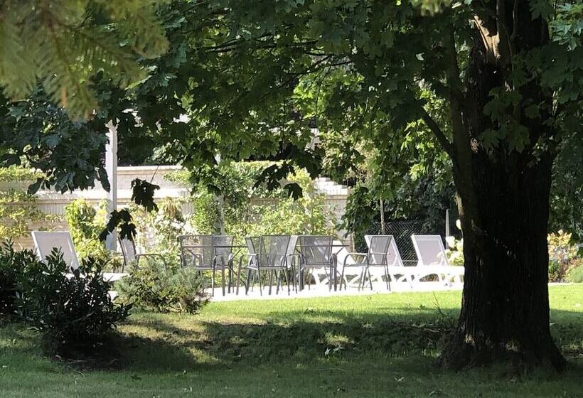 بنسيون Manowce Palace