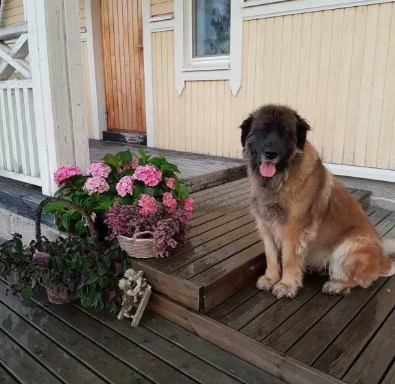 ペンション Ranta Keurula