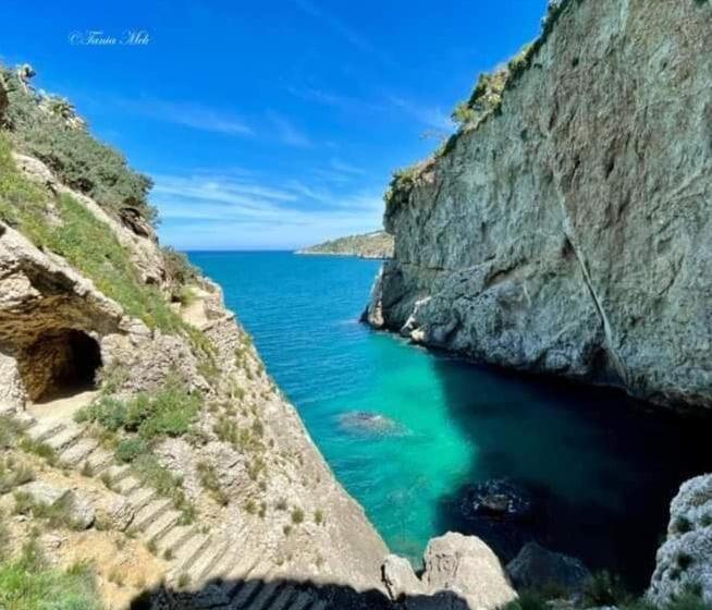 پانسیون Sea Life Terrasini