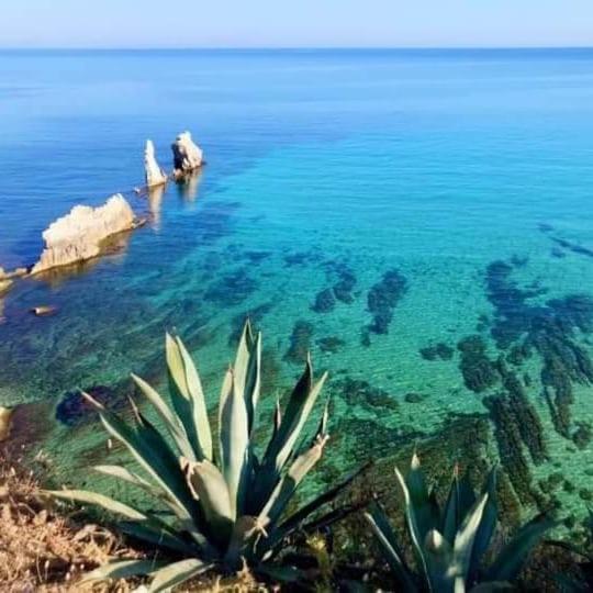 پانسیون Sea Life Terrasini