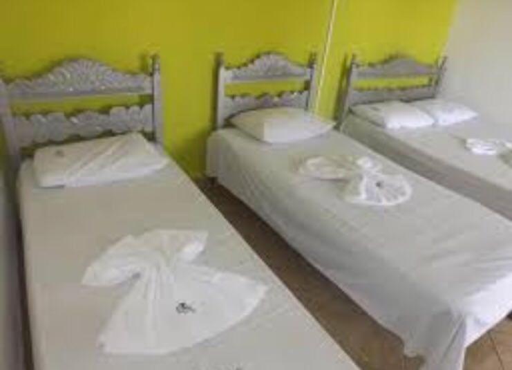 هاستل Pousada Jardim