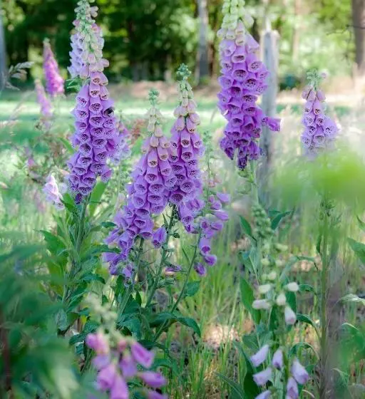 B&b Achterhoeks Halle