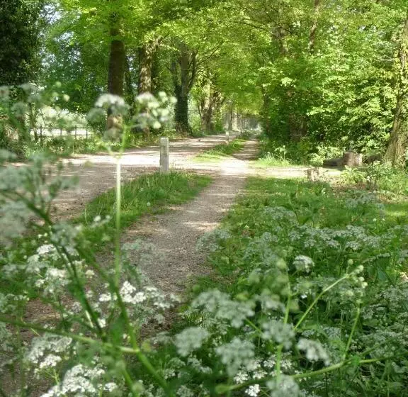 B&b Achterhoeks Halle