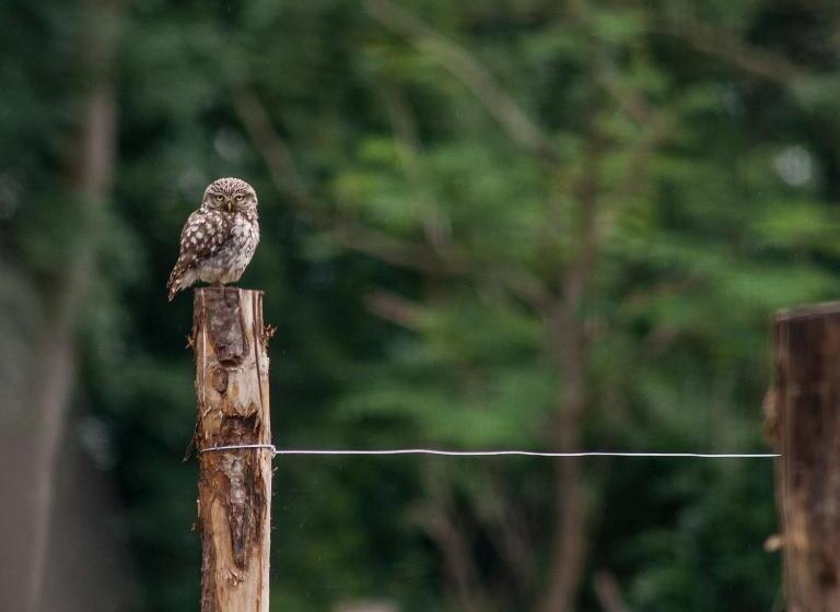 B&b Achterhoeks Halle