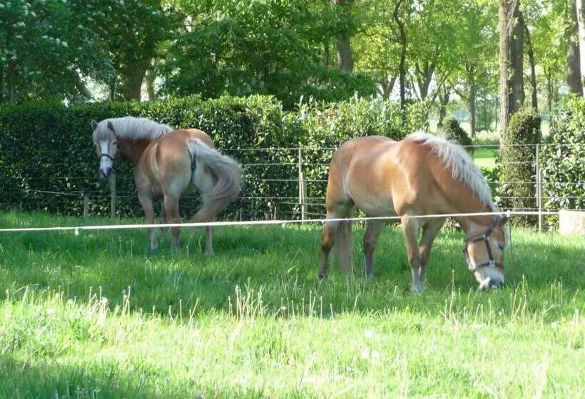 B&b Achterhoeks Halle