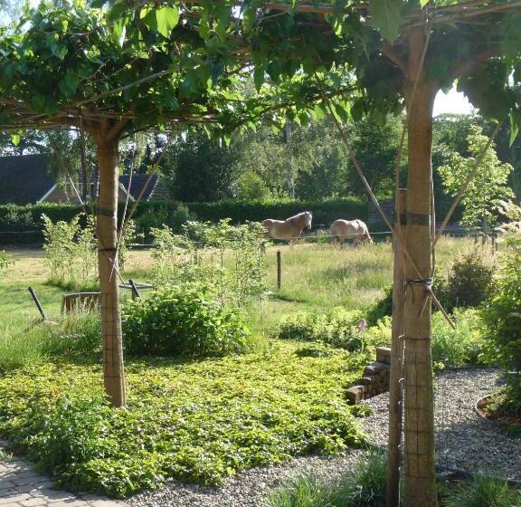 B&b Achterhoeks Halle