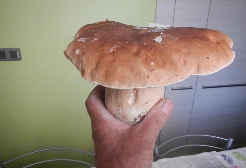 مبيت وإفطار Chambre Chez Mamie Do