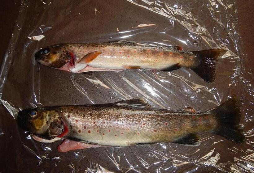 مبيت وإفطار Chambre Chez Mamie Do