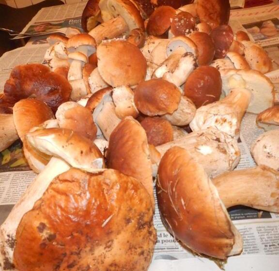 مبيت وإفطار Chambre Chez Mamie Do