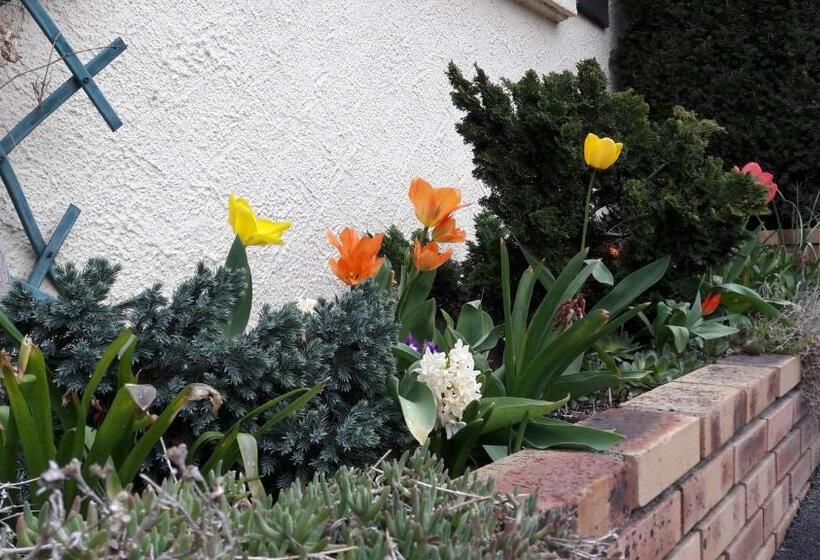 مبيت وإفطار Chambre Chez Mamie Do