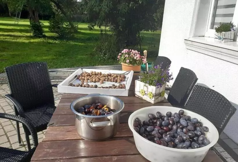 Aamiaismajoitus (B&B) Dworek Natury