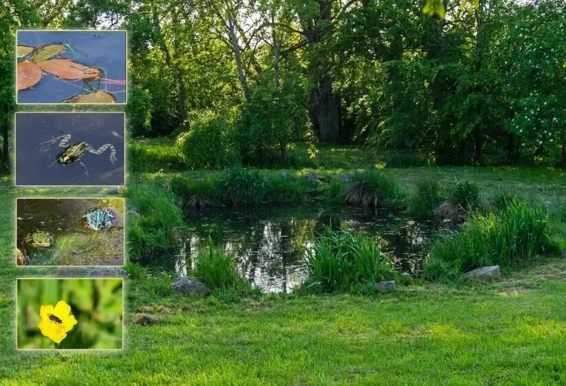 Aamiaismajoitus (B&B) Dworek Natury