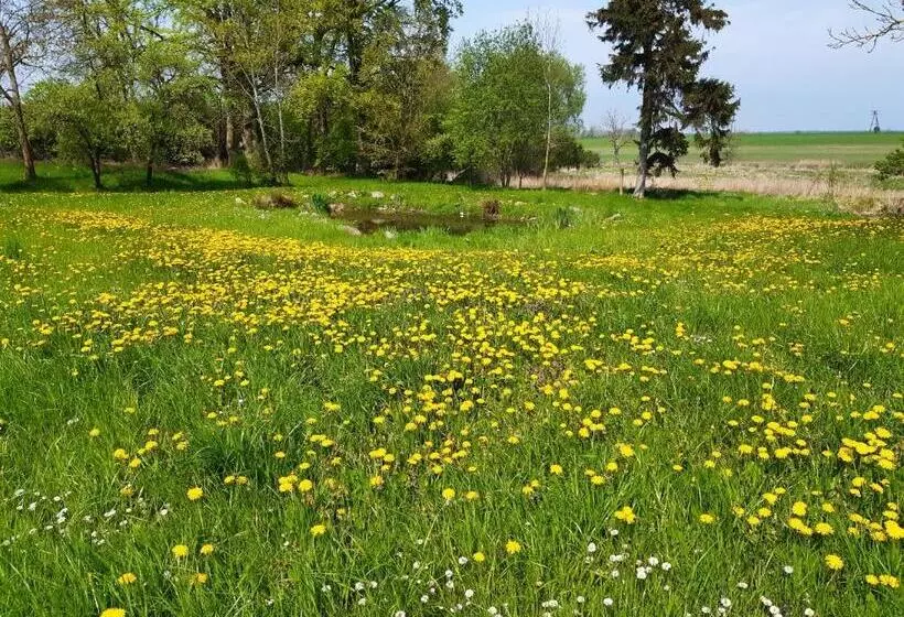 Aamiaismajoitus (B&B) Dworek Natury