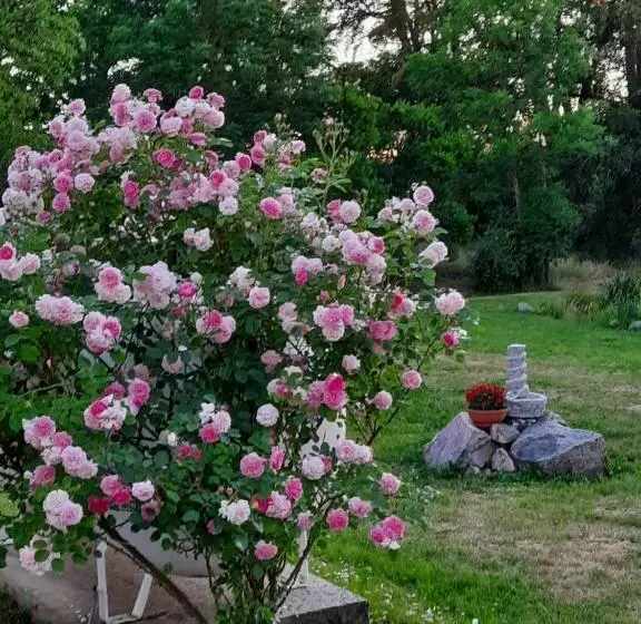 Aamiaismajoitus (B&B) Dworek Natury