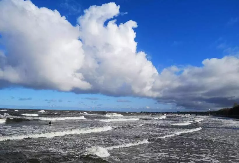 Aamiaismajoitus (B&B) Dworek Natury