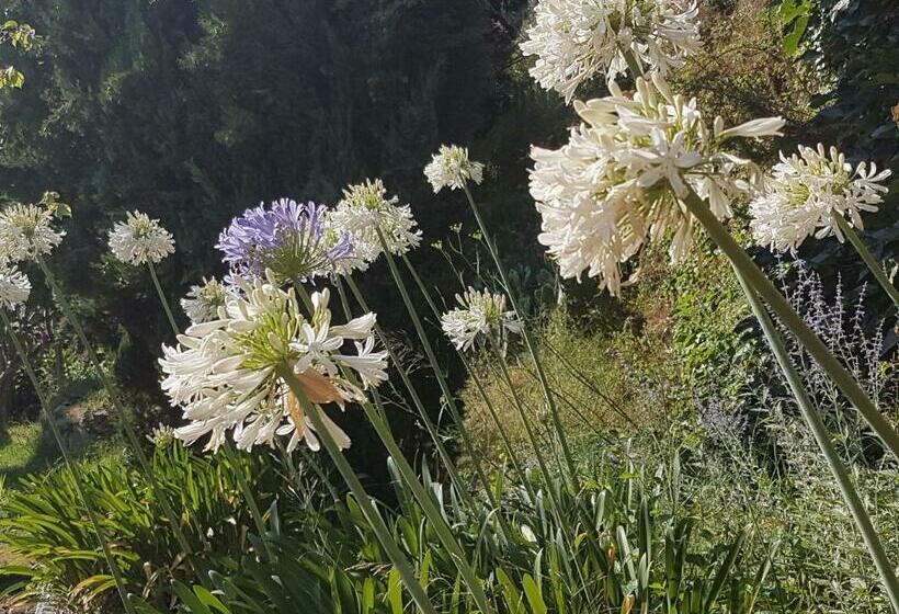 צימר La Villa Guidi