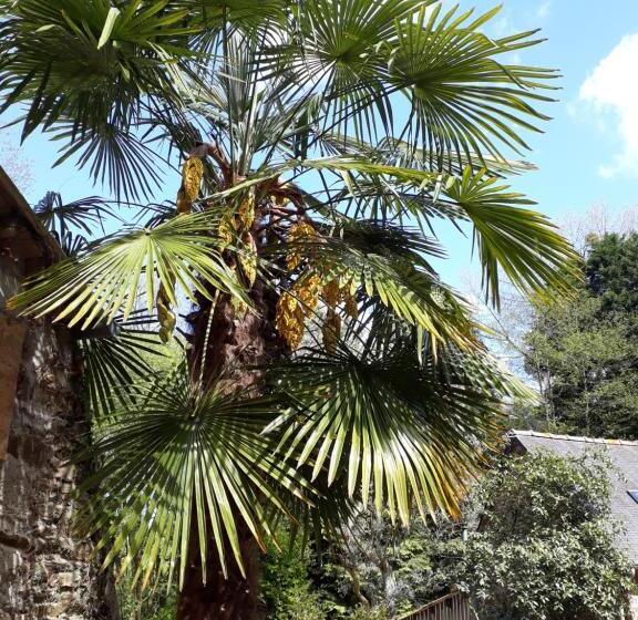 Bed and Breakfast Le Vieux Moulin