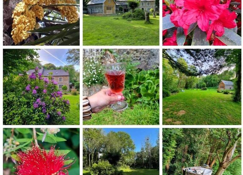 Bed and Breakfast Le Vieux Moulin