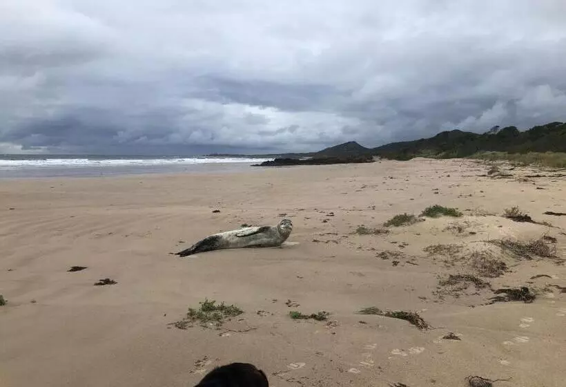 Aamiaismajoitus (B&B) Rocky Cape Retreat