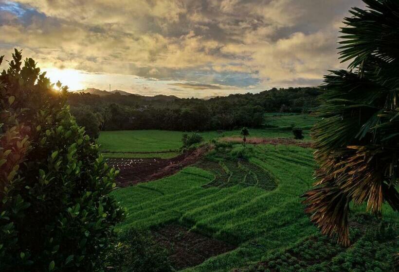 Hotel Bayona Malwaththa