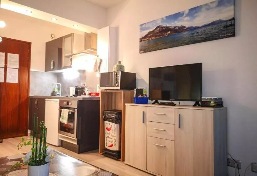 ホテル Léman Holidays Appartement Hyper Centre