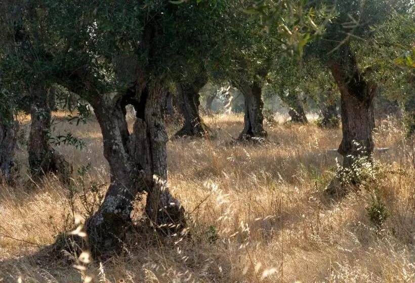 ホテル Quinta De Azemeis