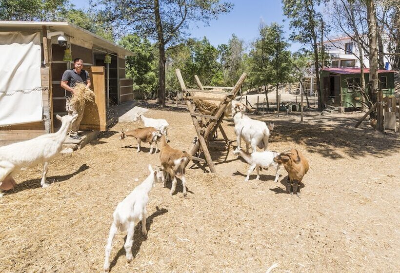 ホテル Quinta De São Pedro