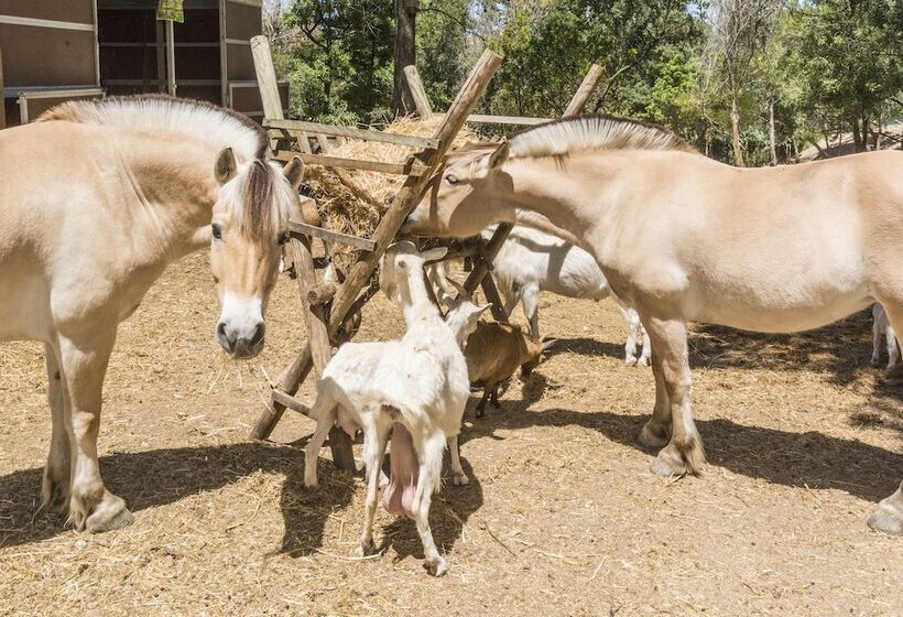 ホテル Quinta De São Pedro