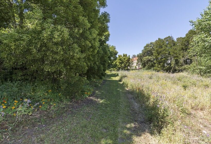 ホテル Quinta De São Pedro