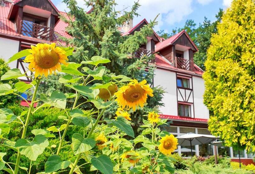 호텔 Star Dadaj Resort & Spa