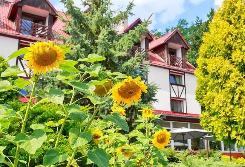 Hotelli Star Dadaj Resort & Spa