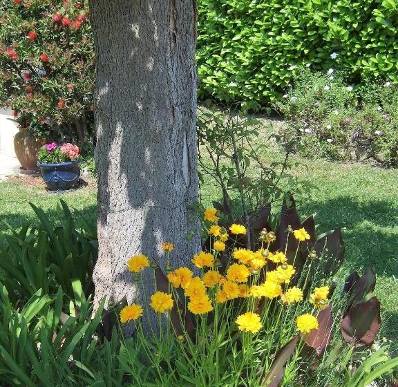 膳宿费 Au Vallon Rouge