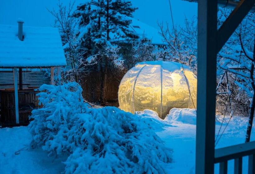 פנסיון Green Chalet