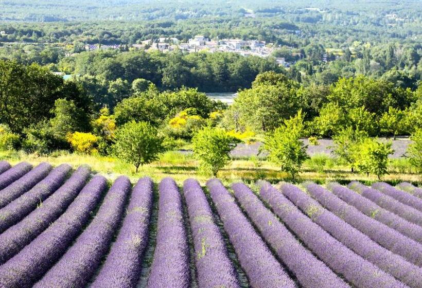 بنسيون La Bugadière