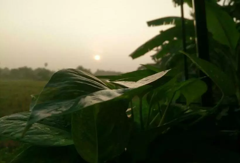 Majatalo ต้งโฮมหละปูน ณ ตูบคำ