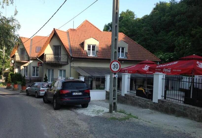 ベッドアンドブレックファースト Berg Szállás