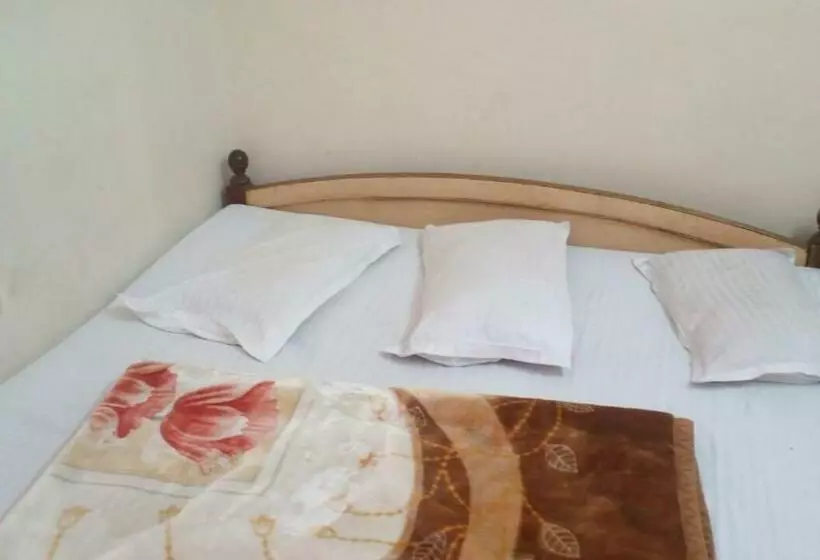 Hotelli Patni Palace