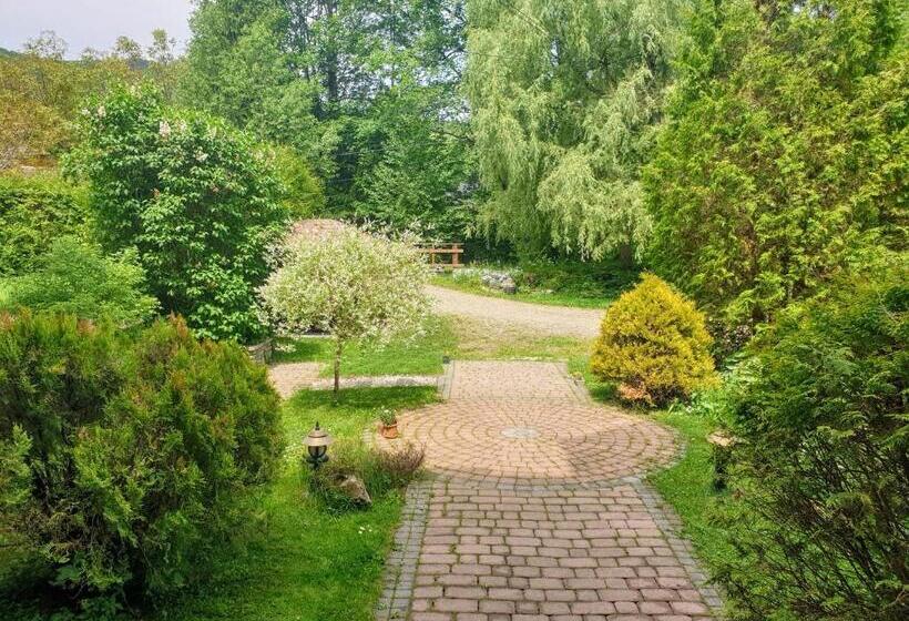 پانسیون Montana