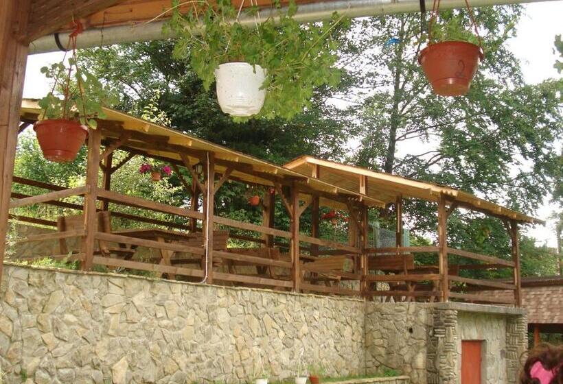 پانسیون Montana