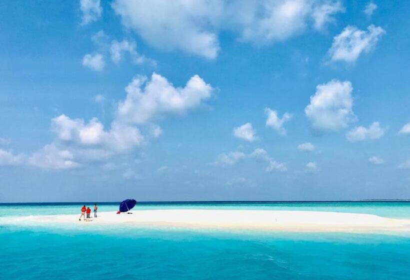 پانسیون Treasure Island Lodge