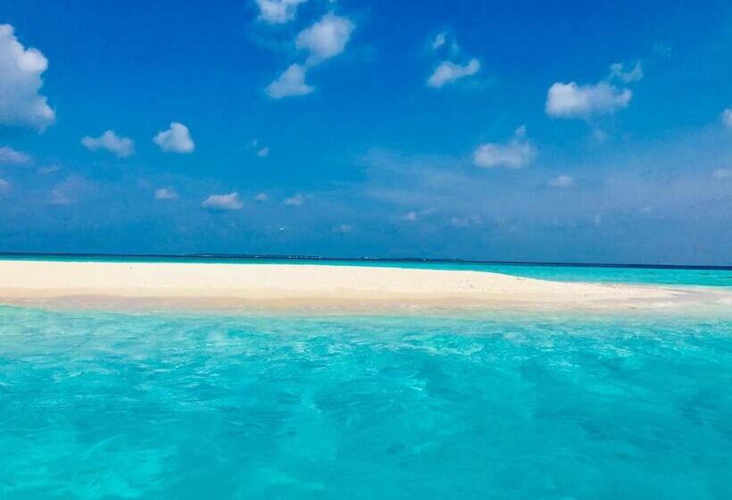 پانسیون Treasure Island Lodge