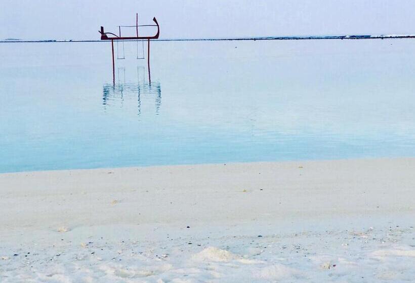 پانسیون Treasure Island Lodge