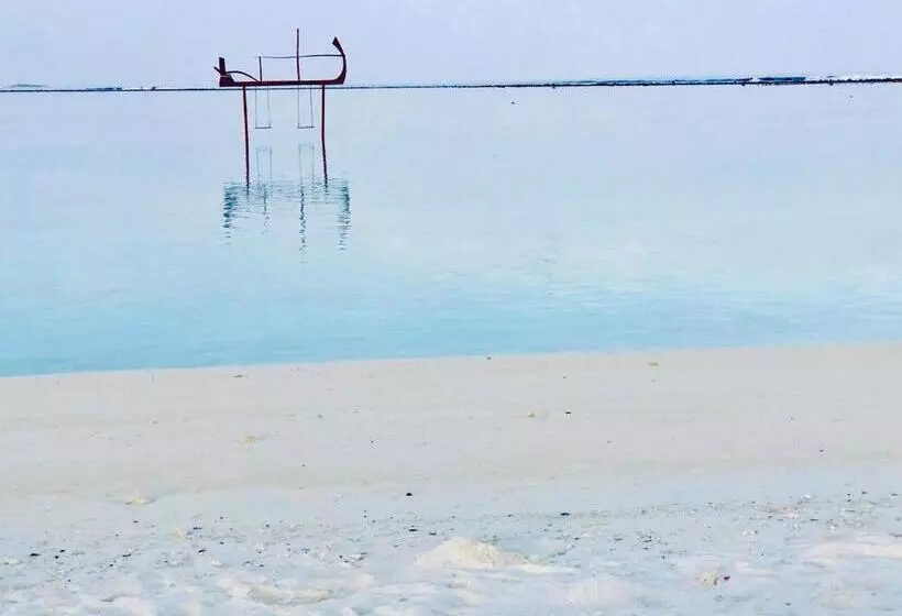 پانسیون Treasure Island Lodge