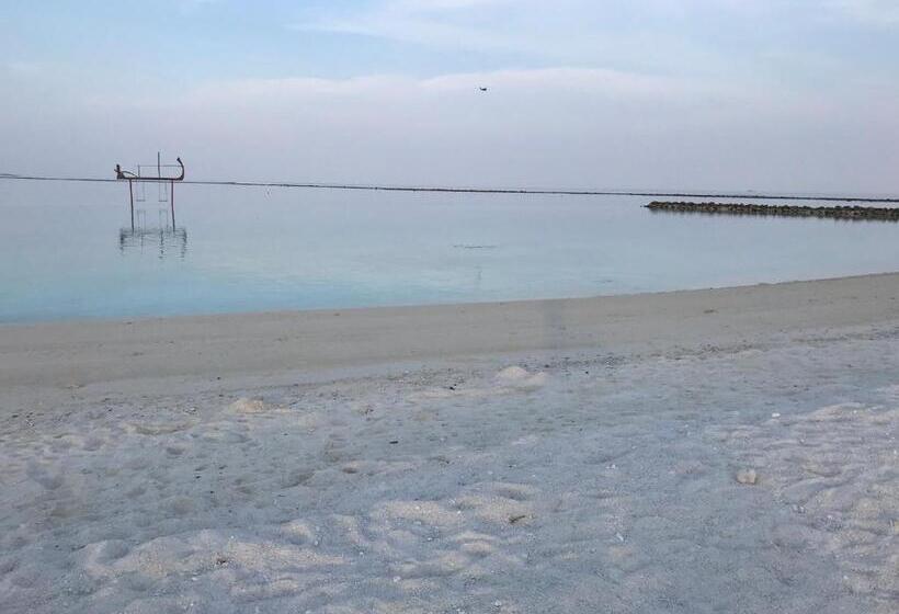 پانسیون Treasure Island Lodge