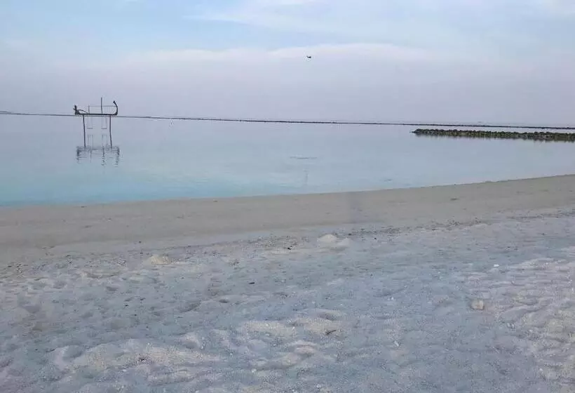 پانسیون Treasure Island Lodge