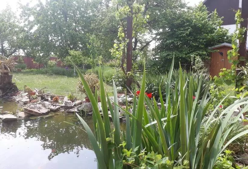 Pension Zelený Strom