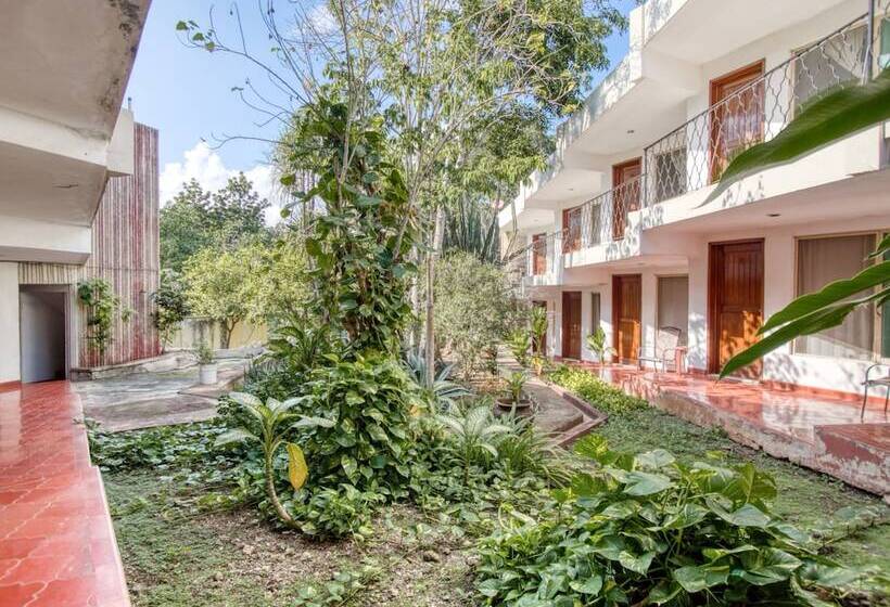 ホテル San Carlos